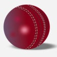 Ikon program: Speed Gun For Cricket