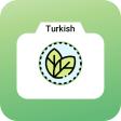 bitki tanıma türkçe