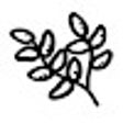 Icon of program: Thyme