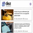 Icon of program: Diez.md