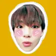 Funny BTS Stickers for WSP