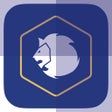 程序图标：Unofficial Chelsea News