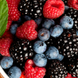 プログラムのアイコン：Wild berries live wallpap…