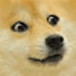 Ícone do programa: DogeCoin Tracker 2021 - T…