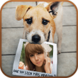 プログラムのアイコン：Animal Photo Frames