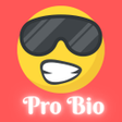 Ícone do programa: Bio for Insta- Attitude B…