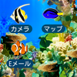 程序图标：ocean 南国の海の壁紙きせかえ