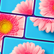 Ikona programu: Jigsort Gallery