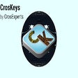 程序图标：CrosKeys by CrosExperts