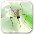 プログラムのアイコン：SEA Anti-Mosquitoes