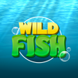 Ikon program: Wild Fish