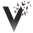 Иконка программы: v4freedom