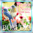 Icono de programa: Bom dia Boa tarde e Boa n…
