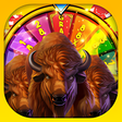 プログラムのアイコン：Buffalo big Sevens