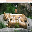 أيقونة البرنامج: LionsTab