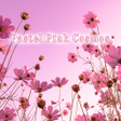 プログラムのアイコン：Pastel Pink Cosmos Theme