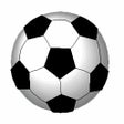 Symbol des Programms: WM2006