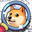 Icoon van programma: Find the Dog - Seek it