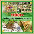 1000+ Wood Planters Ideas