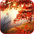 程序图标：Good Morning Images 2017