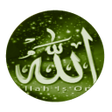 Icon of program: Tarihin annabawa 25