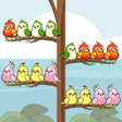 Icono de programa: Bird Sort Quest