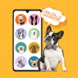 程序图标：Dog Translator  Sounds Pr…