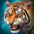 程序图标：The Tiger Online RPG Simu…