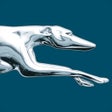 Biểu tượng của chương trình: Greyhound US