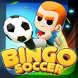 Ikon program: BingoSoccer