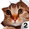 プログラムのアイコン：Find a Cat 2 - Hidden Obj…