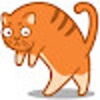 Icon of program: Orbit, the Cat