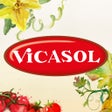 Ikon program: Vicasol app