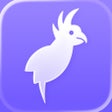 Ikon program: Paperparrot