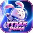 Programın simgesi: TT345Pulse