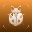 Ícone do programa: Insect ID - Bug Identifie…