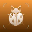Insect ID - Bug Identifier
