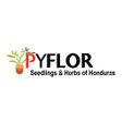 Pyflor icon