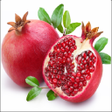 程序图标：Learn Hindi Fruits and Ve…