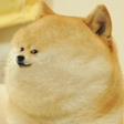 Icon of program: IF YOU LIKE DOGES PLAY TH…