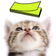 Icon of program: Cat Sticky Note Notepad