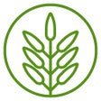 Ícone do programa: Montane Ranch