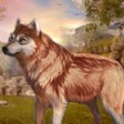 Ícone do programa: The Wild Wolf Life Simula…