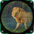 Wild Animal Hunting