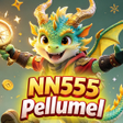 Programikonen: NN555Pellumel