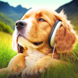プログラムのアイコン：Relax Music for Dogs