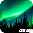 4K Northern Light Aurora Video Live Wallpaper
