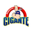 程序图标：Repuestos Gigante