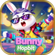 ไอคอนของโปรแกรม: Bunny Hopbit