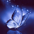Иконка программы: Wallpapers for WhatsApp C…